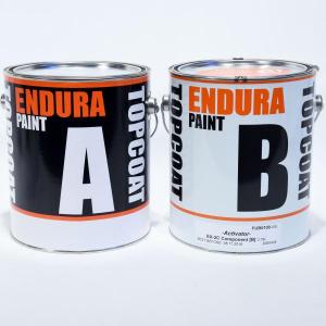 Endura EX-2C Clear 100 KIT